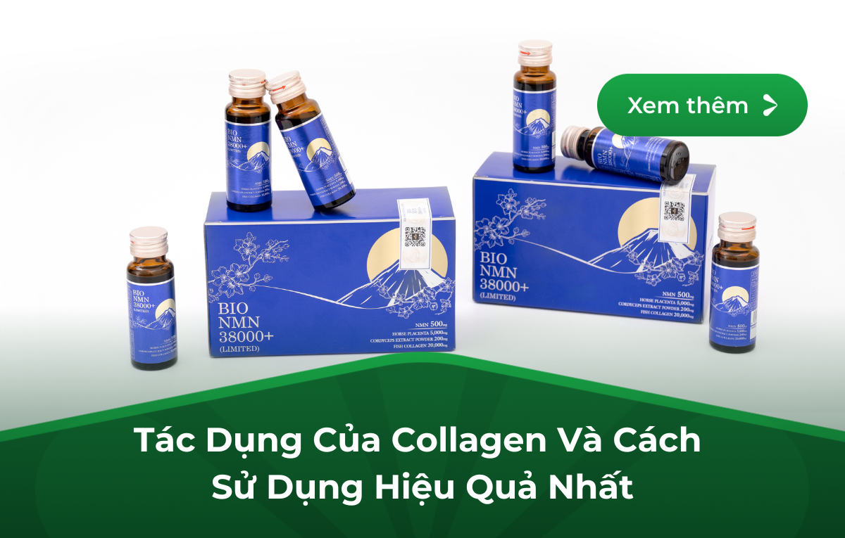 Tác Dụng Của Collagen Và Cách Sử Dụng Hiệu Quả Nhất