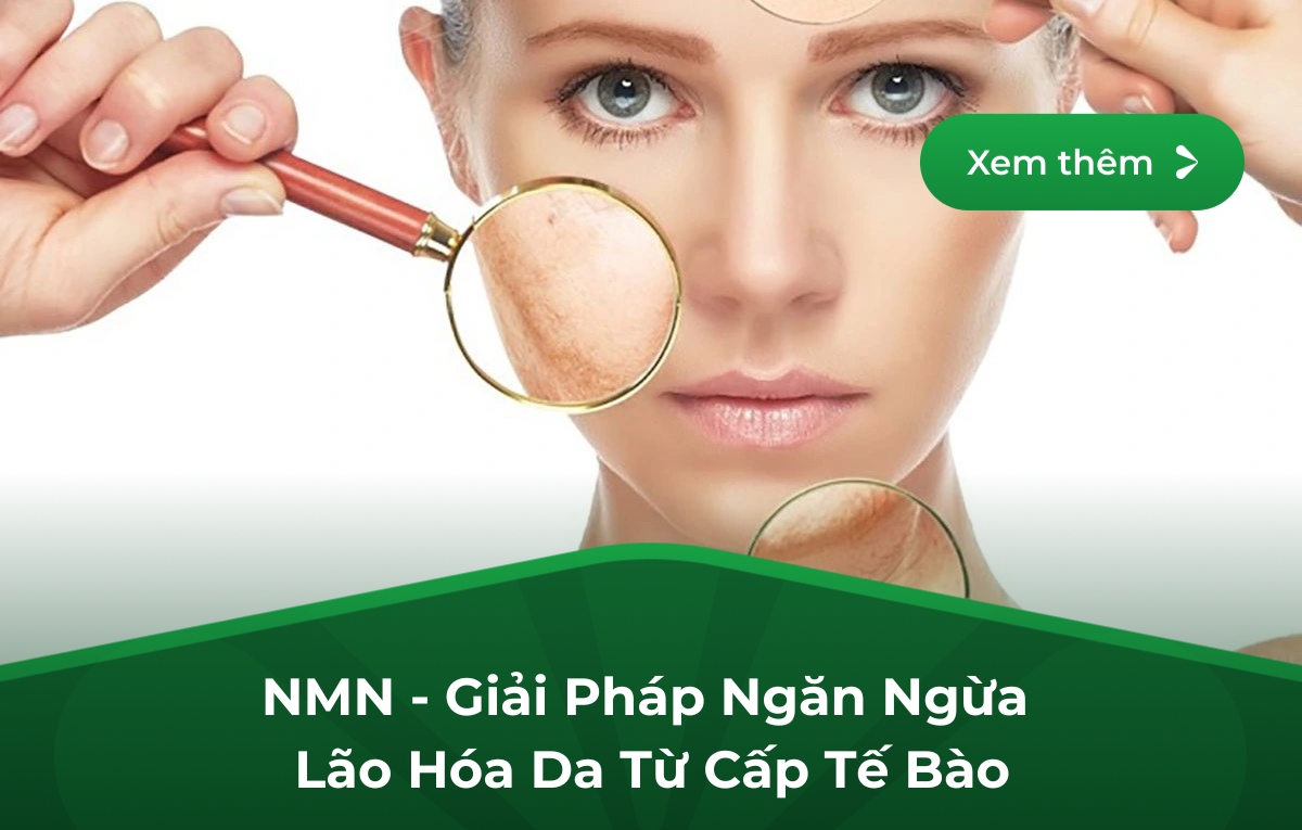 NMN - Giải Pháp Ngăn Ngừa Lão Hóa Da Từ Cấp Tế Bào