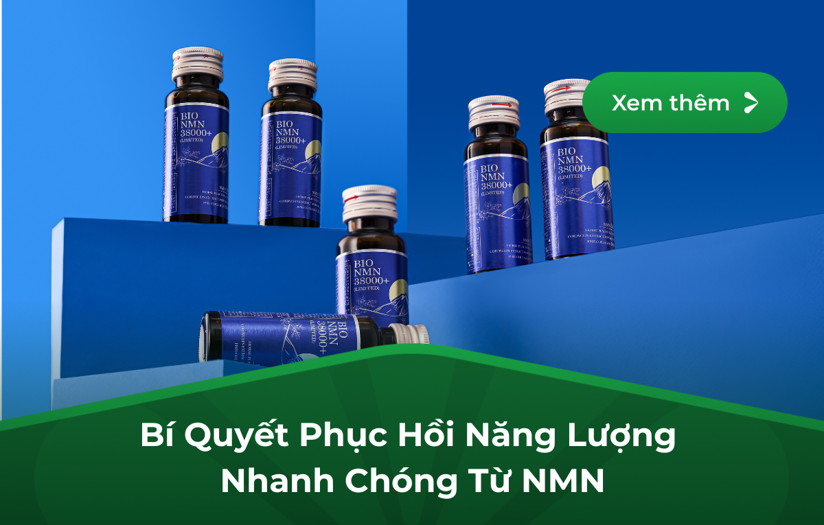 Bí Quyết Phục Hồi Năng Lượng Nhanh Chóng Từ NMN